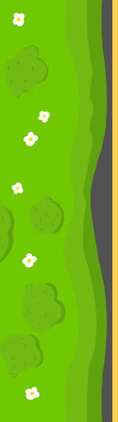 Left grass