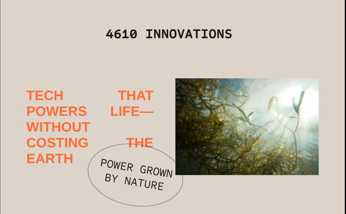 Website Design image 1