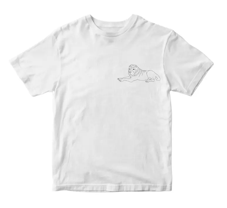 Illustration image 2